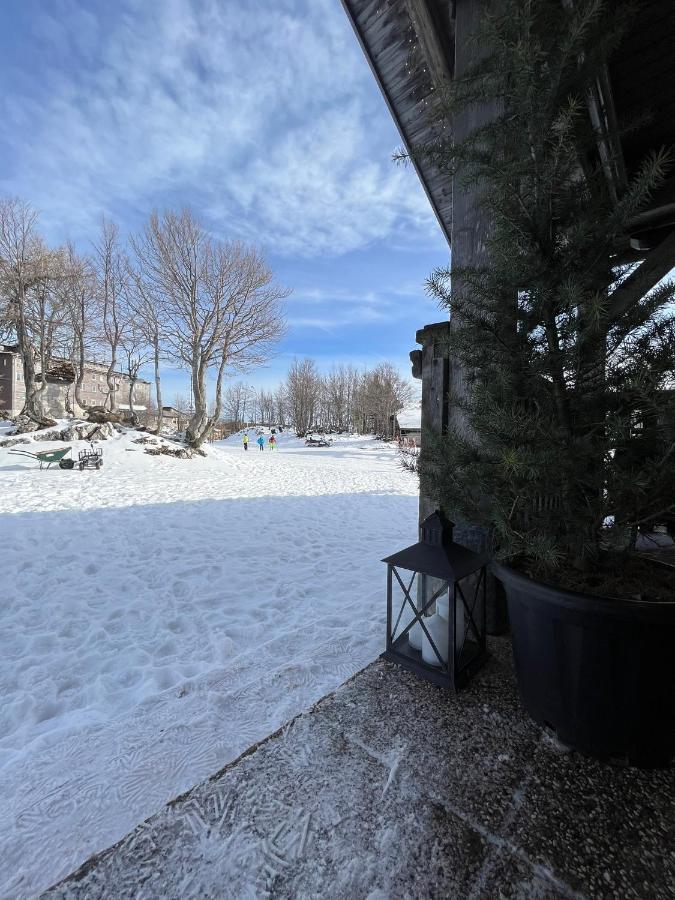 Chalet Burja At Vogel Mountain - Cable Car Access Or Hiking - Not Reachable With Car Бохінь Екстер'єр фото