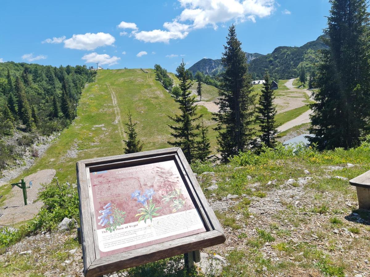 Chalet Burja At Vogel Mountain - Cable Car Access Or Hiking - Not Reachable With Car Бохінь Екстер'єр фото