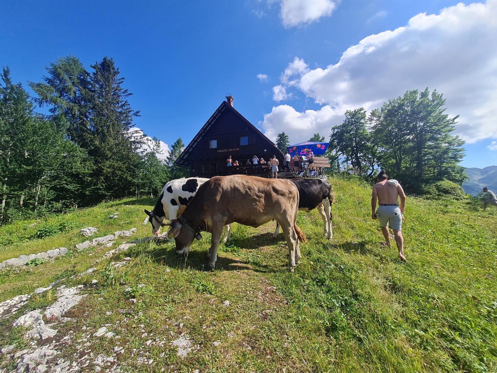 Chalet Burja At Vogel Mountain - Cable Car Access Or Hiking - Not Reachable With Car Бохінь Екстер'єр фото